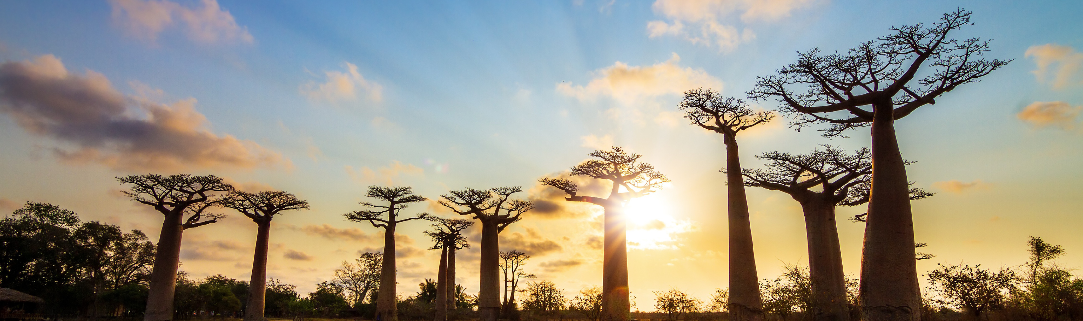 Building Resilience Through Financial Acumen